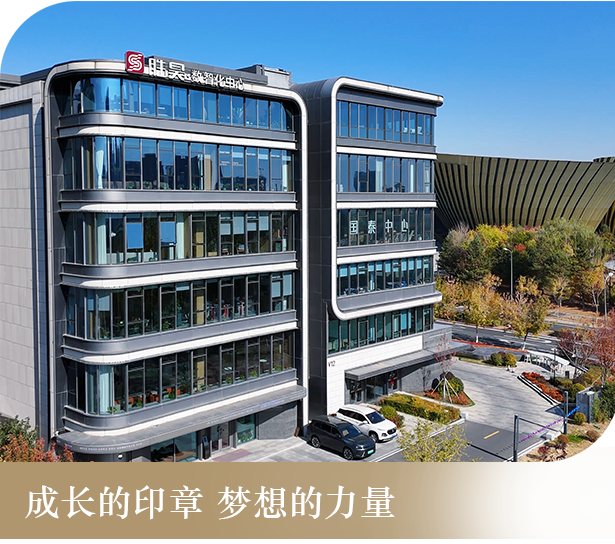 成长的印章梦想的力量