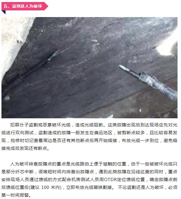 亚洲曰本无码ⅴa一区二区三区