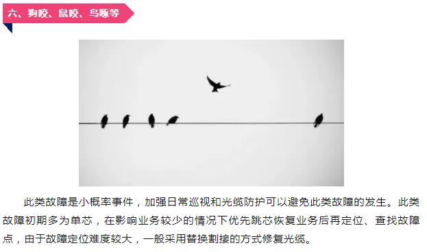亚洲曰本无码ⅴa一区二区三区