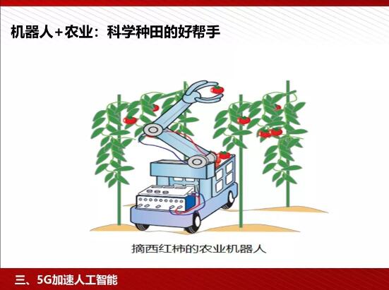 亚洲曰本无码ⅴa一区二区三区