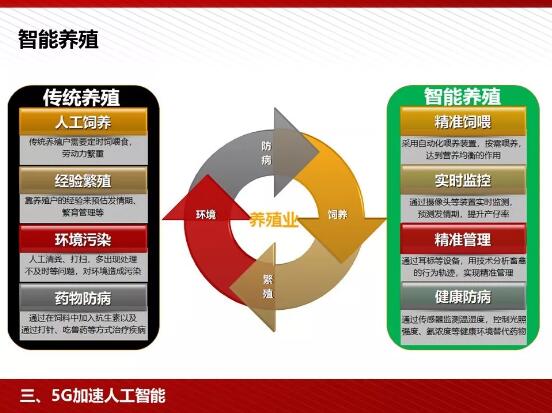 亚洲曰本无码ⅴa一区二区三区