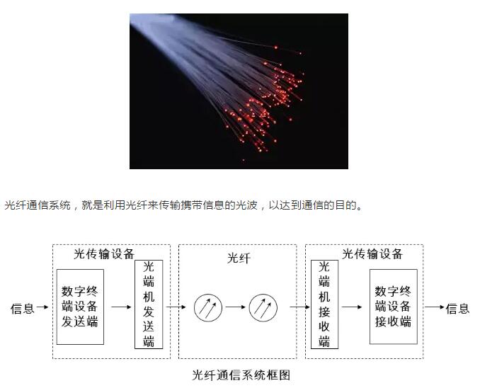 亚洲曰本无码ⅴa一区二区三区