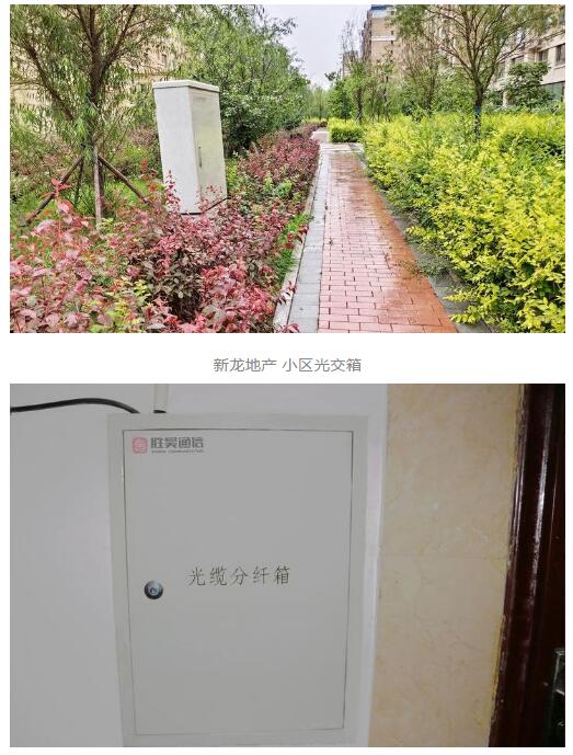亚洲曰本无码ⅴa一区二区三区