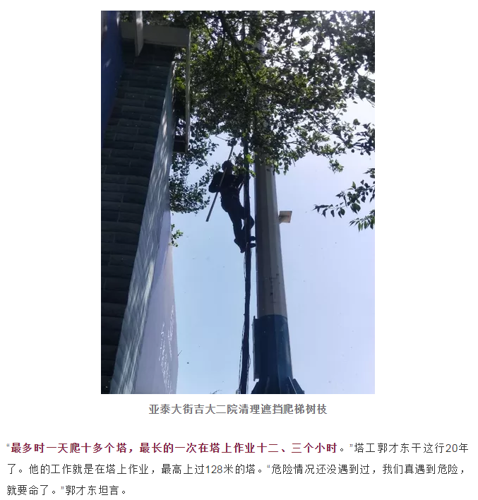 亚洲曰本无码ⅴa一区二区三区