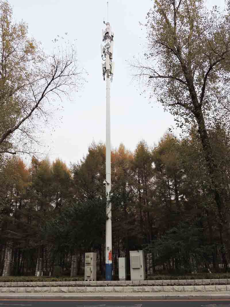 亚洲曰本无码ⅴa一区二区三区