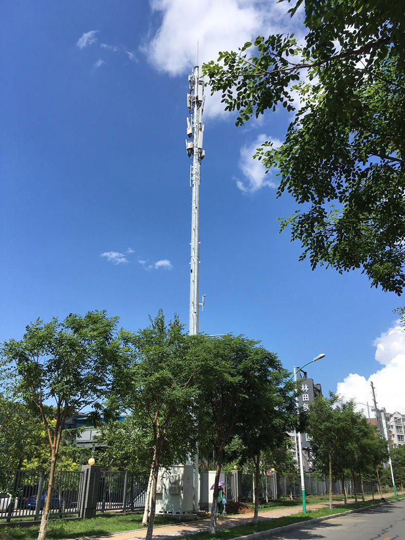 亚洲曰本无码ⅴa一区二区三区